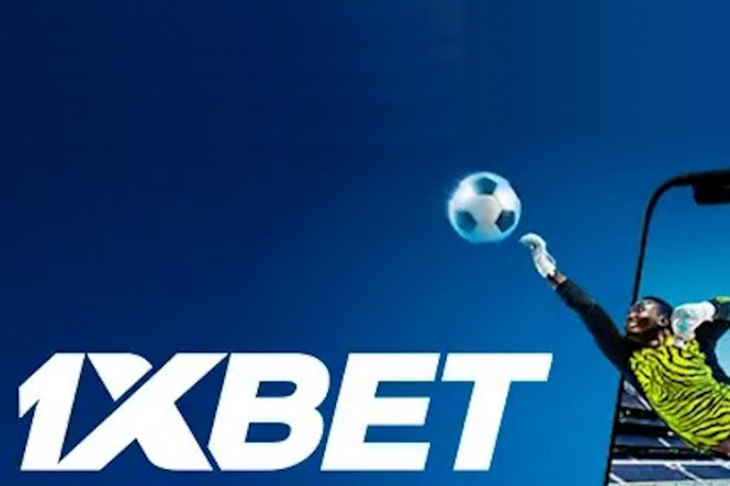 An In-Depth Look at 1xBet Online Gaming